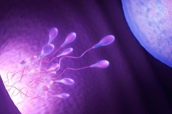 infertility-all-treatments-722x406