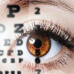The Importance of Having Your Eyes Examined Regularly and Why You Should