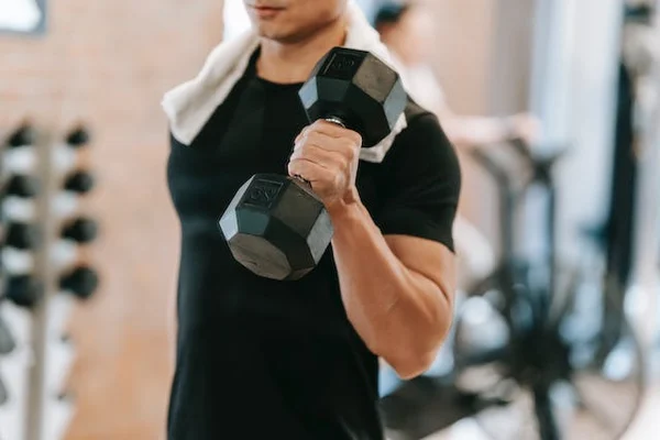 body composition